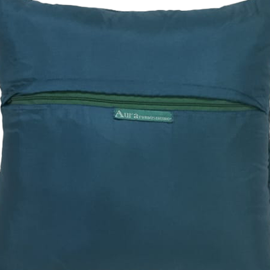 Elegant Embroidered Cushion - Set of 2