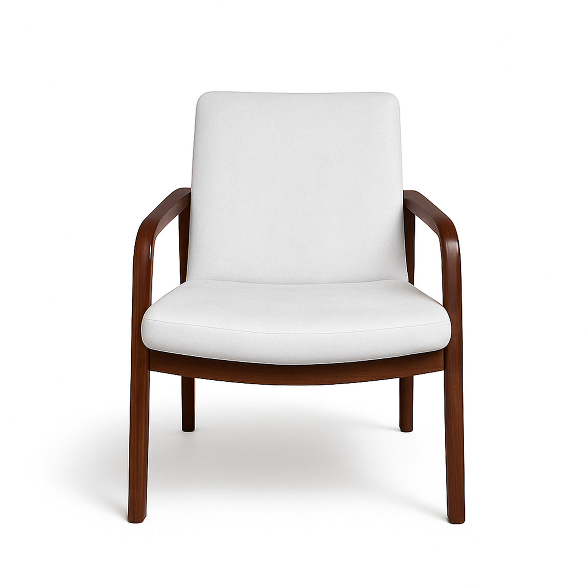 Sleek Curve Lounge Chair