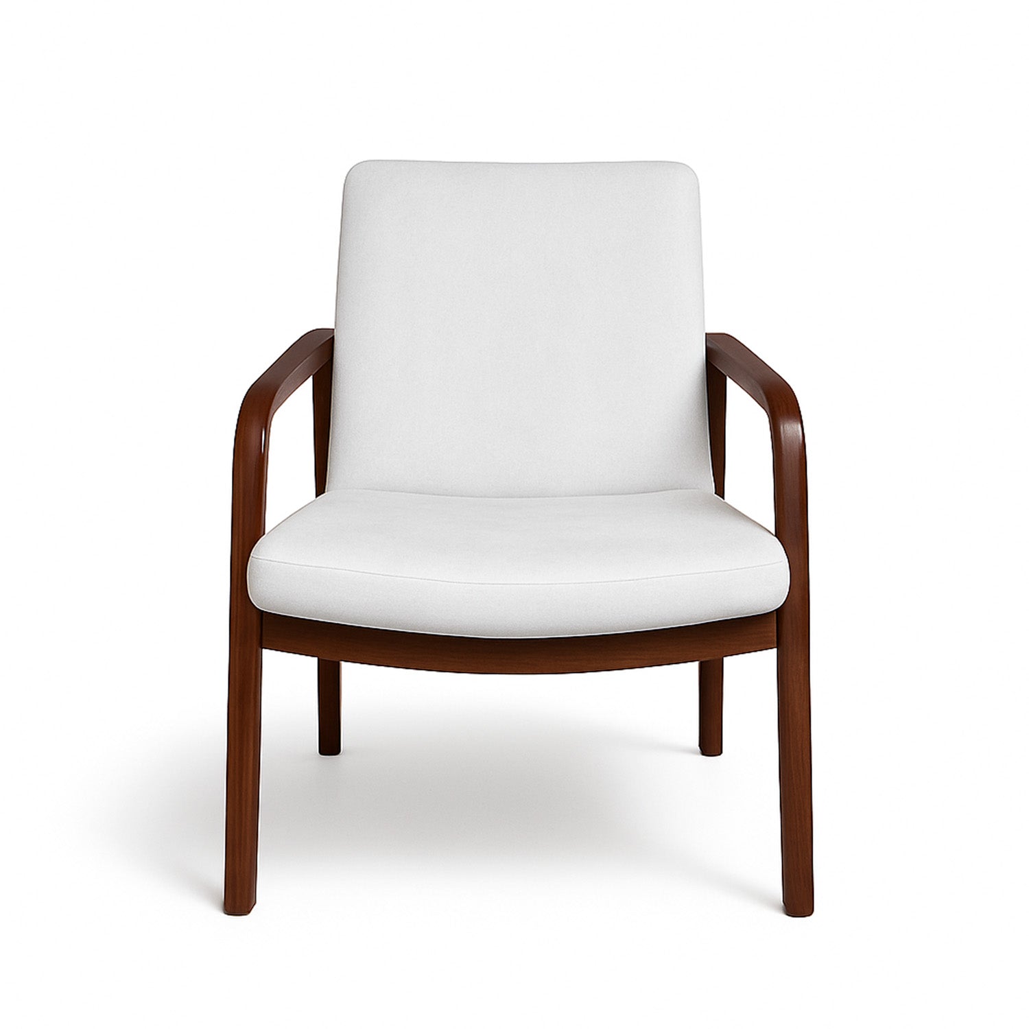 Sleek Curve Lounge Chair